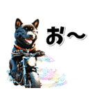 即返信♡バイク好き 黒柴（個別スタンプ：32）