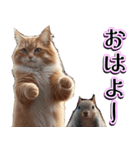 飛び出す★秋を感じる・茶トラ猫【ハロウィ（個別スタンプ：1）