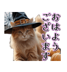 飛び出す★秋を感じる・茶トラ猫【ハロウィ（個別スタンプ：2）
