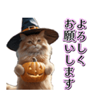 飛び出す★秋を感じる・茶トラ猫【ハロウィ（個別スタンプ：6）
