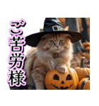 飛び出す★秋を感じる・茶トラ猫【ハロウィ（個別スタンプ：8）