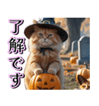 飛び出す★秋を感じる・茶トラ猫【ハロウィ（個別スタンプ：10）