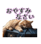 飛び出す★秋を感じる・茶トラ猫【ハロウィ（個別スタンプ：13）