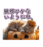飛び出す★秋を感じる・茶トラ猫【ハロウィ（個別スタンプ：17）