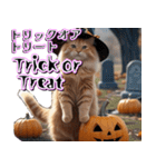 飛び出す★秋を感じる・茶トラ猫【ハロウィ（個別スタンプ：19）