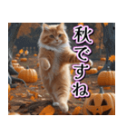 飛び出す★秋を感じる・茶トラ猫【ハロウィ（個別スタンプ：20）