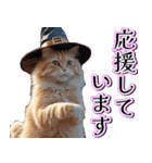 飛び出す★秋を感じる・茶トラ猫【ハロウィ（個別スタンプ：22）