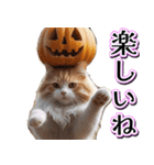 飛び出す★秋を感じる・茶トラ猫【ハロウィ（個別スタンプ：23）