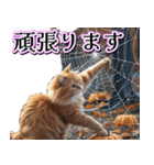 飛び出す★秋を感じる・茶トラ猫【ハロウィ（個別スタンプ：24）