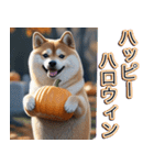 飛び出す★秋を感じる・しばいぬ（個別スタンプ：17）