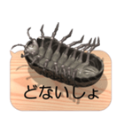 スマホの上のダンゴムシ7《関西弁》（個別スタンプ：10）