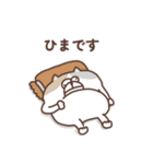 すんとしたねこの夏（個別スタンプ：33）