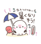夏❤️ふわもちシマエナガ❤️シンプルver.①（個別スタンプ：21）