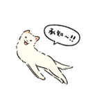 今日も柴犬が可愛い5 -白柴-（個別スタンプ：3）