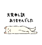 今日も柴犬が可愛い5 -白柴-（個別スタンプ：5）