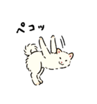 今日も柴犬が可愛い5 -白柴-（個別スタンプ：6）