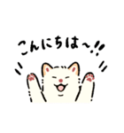 今日も柴犬が可愛い5 -白柴-（個別スタンプ：7）