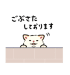 今日も柴犬が可愛い5 -白柴-（個別スタンプ：11）