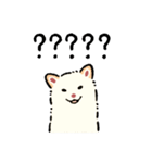 今日も柴犬が可愛い5 -白柴-（個別スタンプ：17）