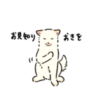 今日も柴犬が可愛い5 -白柴-（個別スタンプ：20）