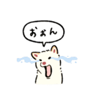 今日も柴犬が可愛い5 -白柴-（個別スタンプ：21）