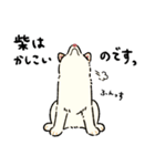 今日も柴犬が可愛い5 -白柴-（個別スタンプ：23）