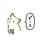 今日も柴犬が可愛い5 -白柴-（個別スタンプ：25）