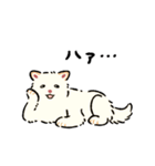 今日も柴犬が可愛い5 -白柴-（個別スタンプ：28）