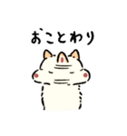 今日も柴犬が可愛い5 -白柴-（個別スタンプ：29）