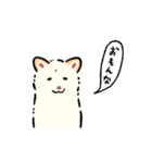 今日も柴犬が可愛い5 -白柴-（個別スタンプ：31）