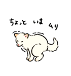 今日も柴犬が可愛い5 -白柴-（個別スタンプ：33）