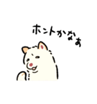 今日も柴犬が可愛い5 -白柴-（個別スタンプ：34）