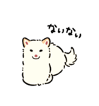 今日も柴犬が可愛い5 -白柴-（個別スタンプ：35）