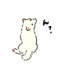 今日も柴犬が可愛い5 -白柴-（個別スタンプ：37）