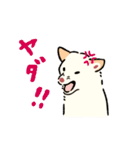 今日も柴犬が可愛い5 -白柴-（個別スタンプ：39）