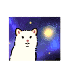 今日も柴犬が可愛い5 -白柴-（個別スタンプ：40）