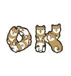 今日も柴犬が可愛い5 -胡麻柴-（個別スタンプ：4）