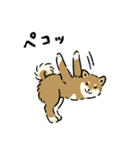 今日も柴犬が可愛い5 -胡麻柴-（個別スタンプ：6）