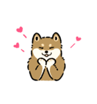 今日も柴犬が可愛い5 -胡麻柴-（個別スタンプ：9）