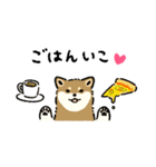今日も柴犬が可愛い5 -胡麻柴-（個別スタンプ：14）