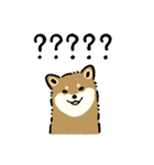 今日も柴犬が可愛い5 -胡麻柴-（個別スタンプ：17）