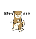 今日も柴犬が可愛い5 -胡麻柴-（個別スタンプ：20）