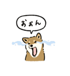 今日も柴犬が可愛い5 -胡麻柴-（個別スタンプ：21）
