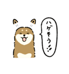 今日も柴犬が可愛い5 -胡麻柴-（個別スタンプ：22）