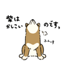 今日も柴犬が可愛い5 -胡麻柴-（個別スタンプ：23）