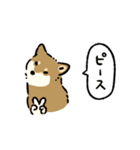 今日も柴犬が可愛い5 -胡麻柴-（個別スタンプ：25）