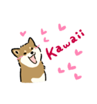 今日も柴犬が可愛い5 -胡麻柴-（個別スタンプ：26）