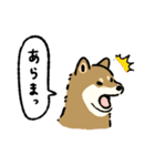 今日も柴犬が可愛い5 -胡麻柴-（個別スタンプ：27）