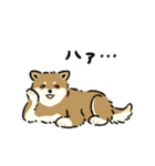今日も柴犬が可愛い5 -胡麻柴-（個別スタンプ：28）