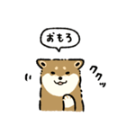 今日も柴犬が可愛い5 -胡麻柴-（個別スタンプ：30）